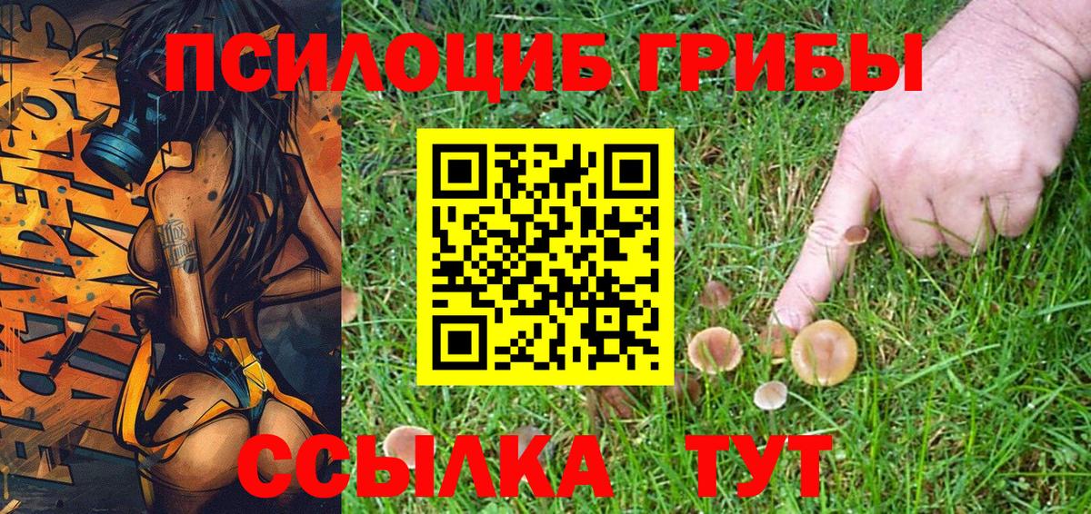 Псилоцибиновые грибы Psilocybine cubensis Медногорск